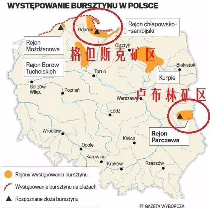 波兰格单斯克琥珀展,波兰琥珀