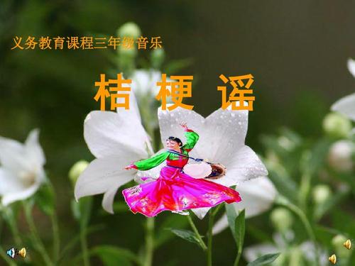 东北山野菜桔梗,桔梗药食同源