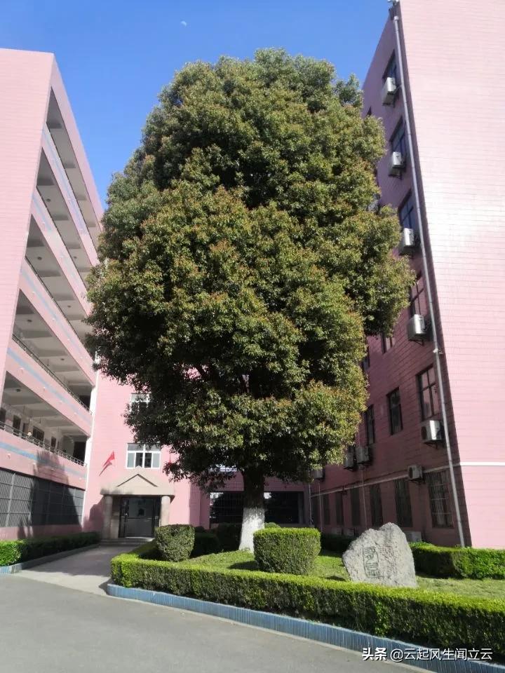 随州县城网红打卡地,随州市曾都区旅游景点