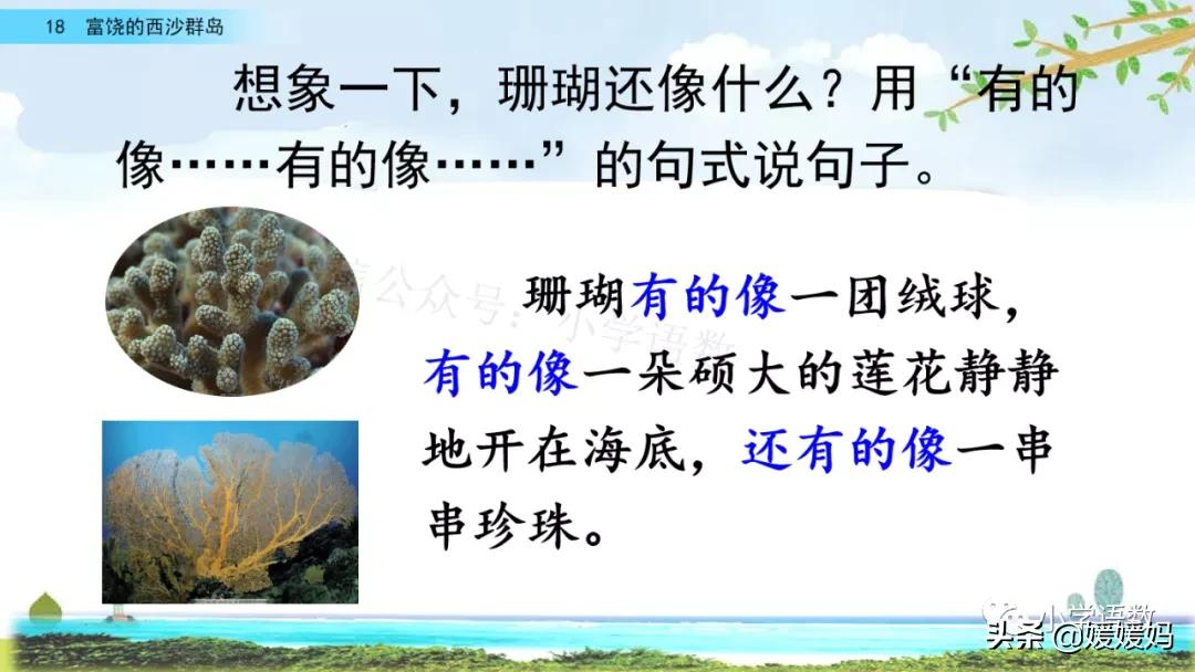 三年级第18课富饶的西沙群岛视频,三年级上册18富饶的西沙群岛笔记