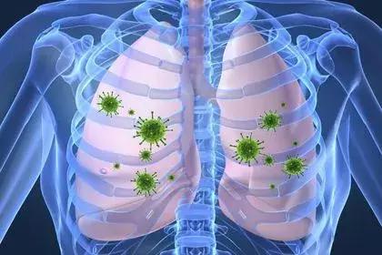 益生菌与真菌,益生菌与幽门螺杆菌