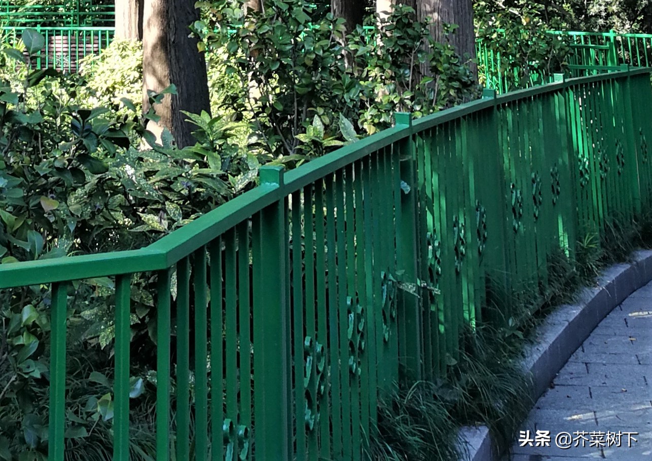 无奈啊无奈原唱素材,无奈啊无奈日语