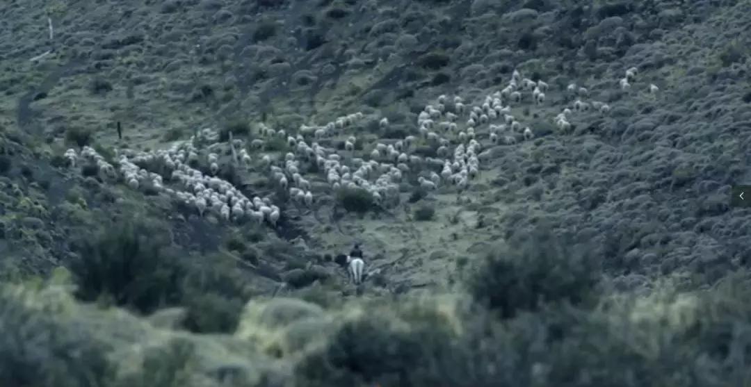 地球的另一端长什么样,地球另一端的意思