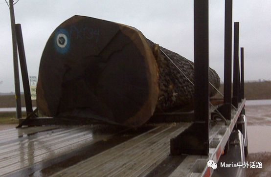 美国硬木干货价格,北美硬木排行