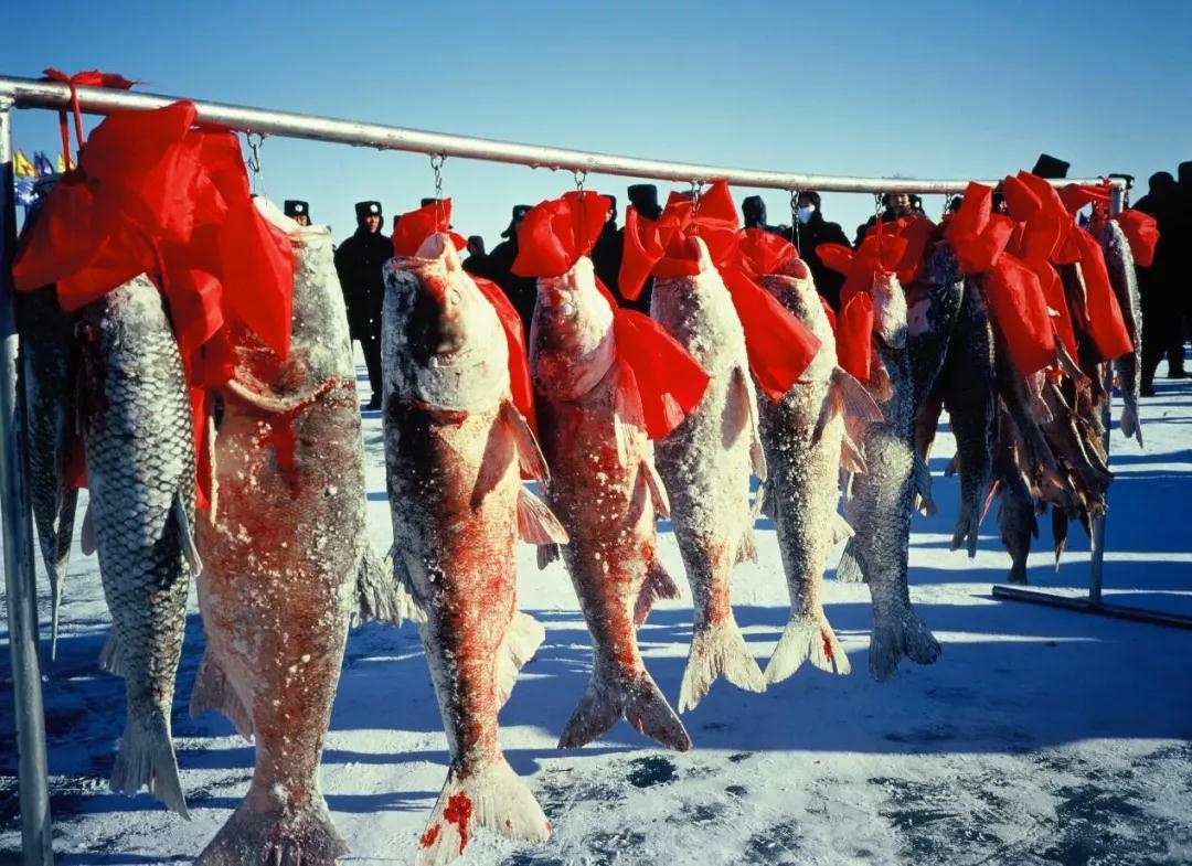 不忽悠！“拔草”这些小村屯才不辜负这个冬天
