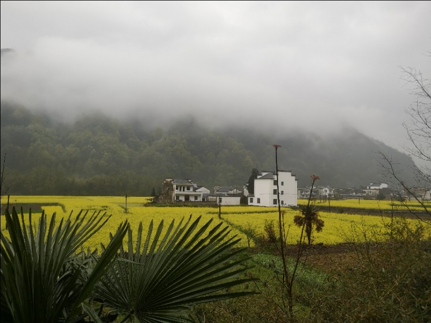 去安徽黄山玩攻略,安徽黄山三日游最佳攻略