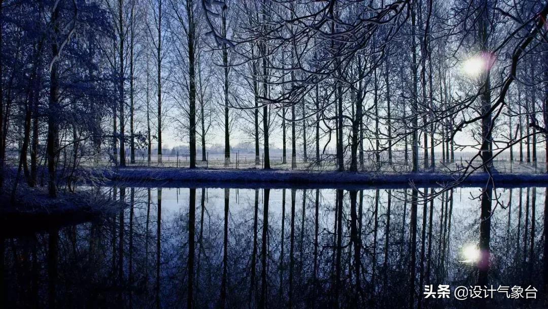 4000美金图片,五万美元效果图