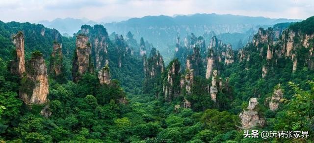 去张家界自助游/自驾游/自由行旅游包车/向导/行程私人定制