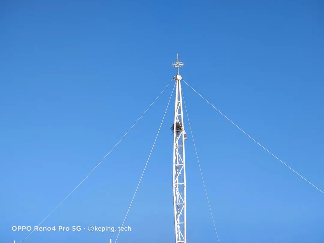 OPPOReno4Pro体验评测:极致轻薄,可能是最好的5G视频手机