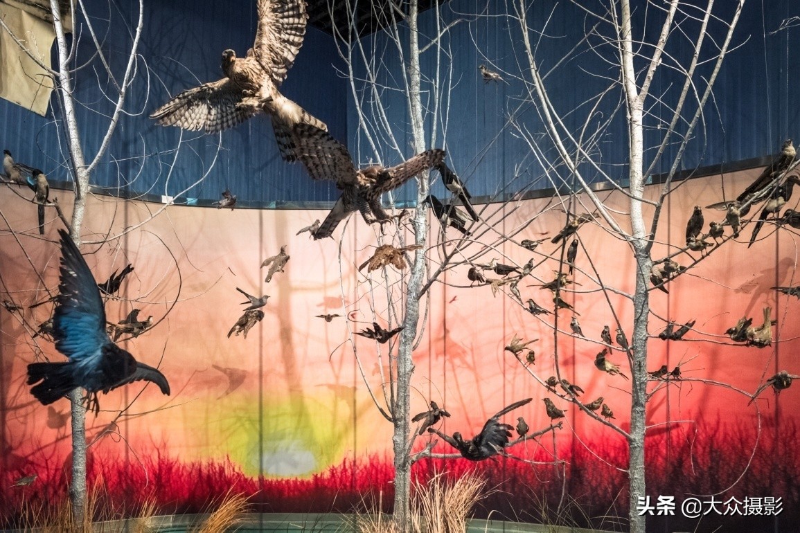 砀山英雄会,芒砀山英雄会