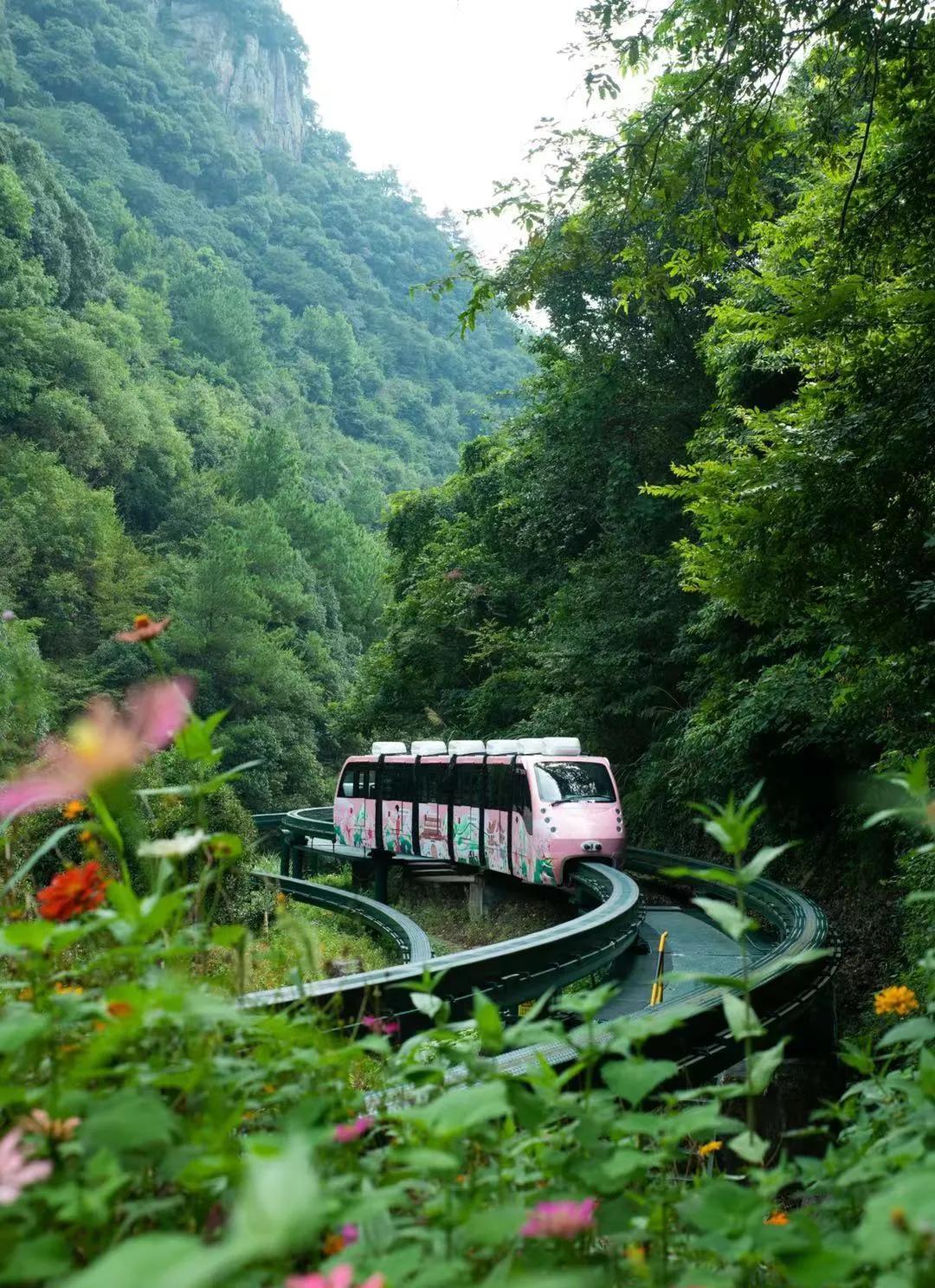 不出宁波市的旅行,奉化夏日海边游玩攻略