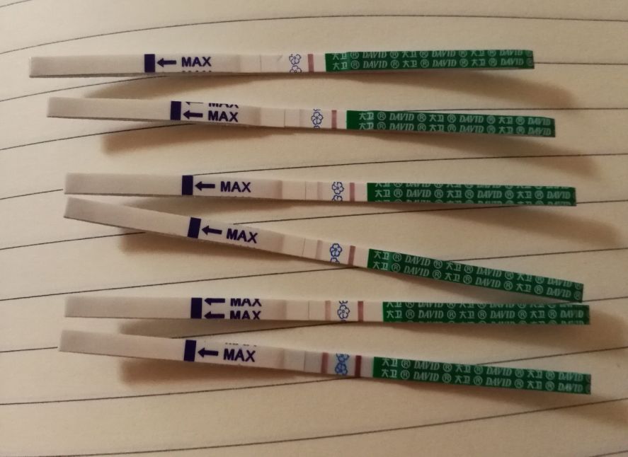 7年怀孕5次后续,7次怀孕4次流产后续