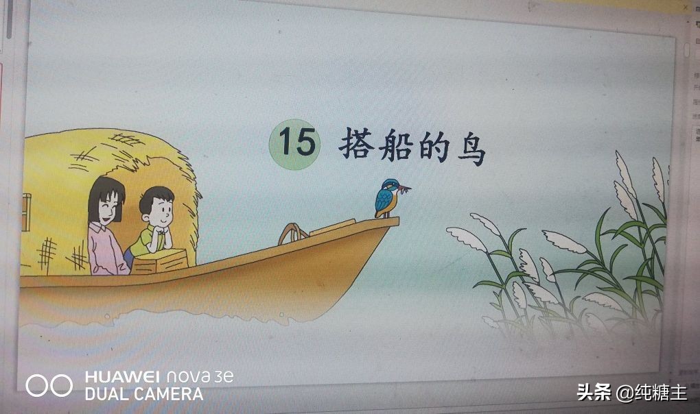 三年级语文上册搭船的鸟预习笔记,三年级搭船的鸟课文笔记