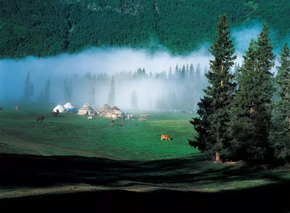 70年有什么经典的歌,6070年代都在听的一首歌