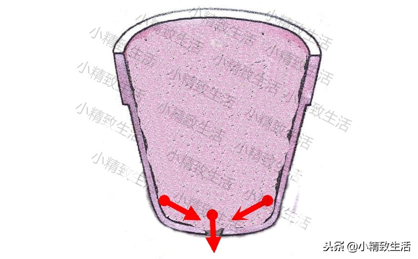 养君子兰需要什么条件才能开花,君子兰怎么养护才能让它开花