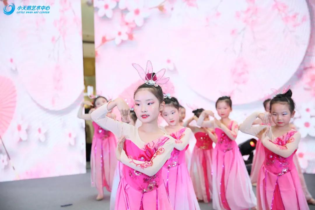 小天鹅艺术中心专场演出现场,小天鹅艺术中心专场演出