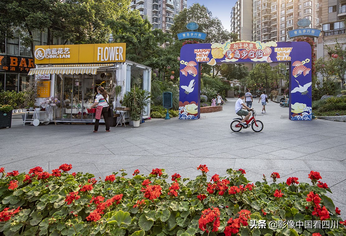 成都最美榕树街,成都鹭岛步行街商铺出售