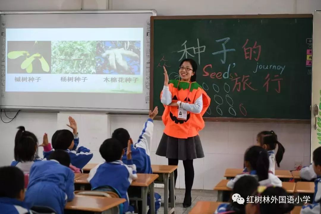 宝安私立学校积分最新排名,宝安区小学报考积分排行榜