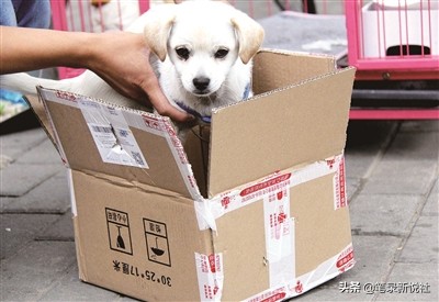 电商实体店必买三种产品,电商不建议购买的4种商家