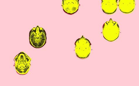 鑲犻亾閲岀殑鎺㈢储,鑲犻亾鍐呯殑涓栫晫