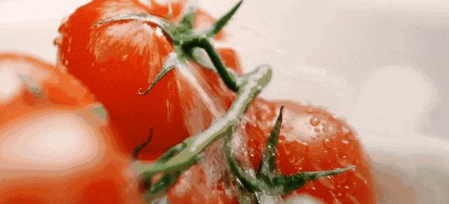 吃了这样的西瓜女子险丧命,女子吃了隔夜西瓜抢救无效死亡