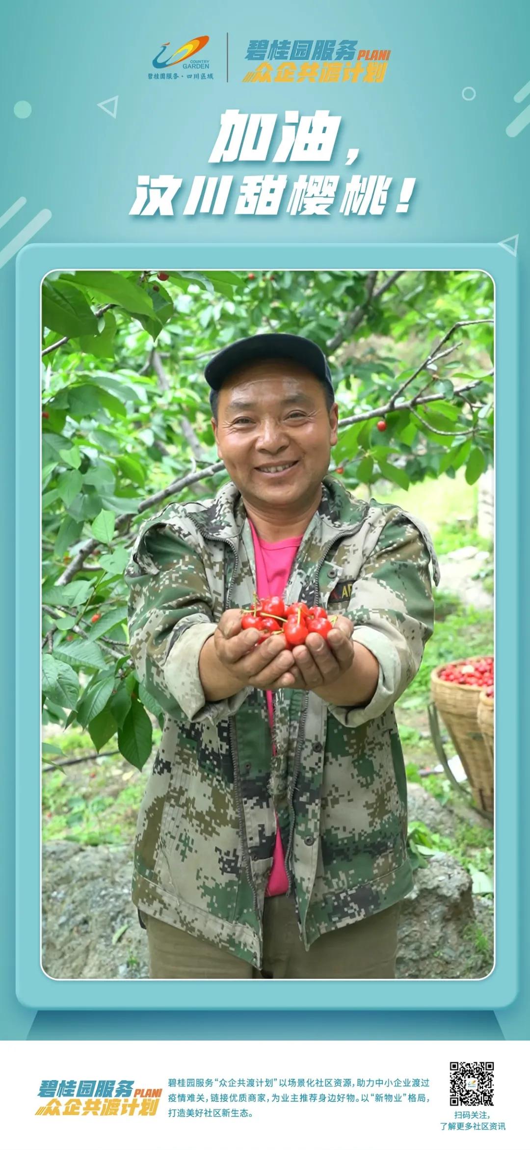 top物业管理,top级住宅什么意思