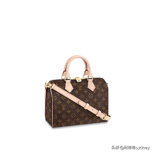 2019lv女士包图片和价格,2023lv新款包哪个质量好