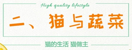 猫是肉食动物为什么它吃猫草,猫咪是食肉动物为什么喜欢吃猫草