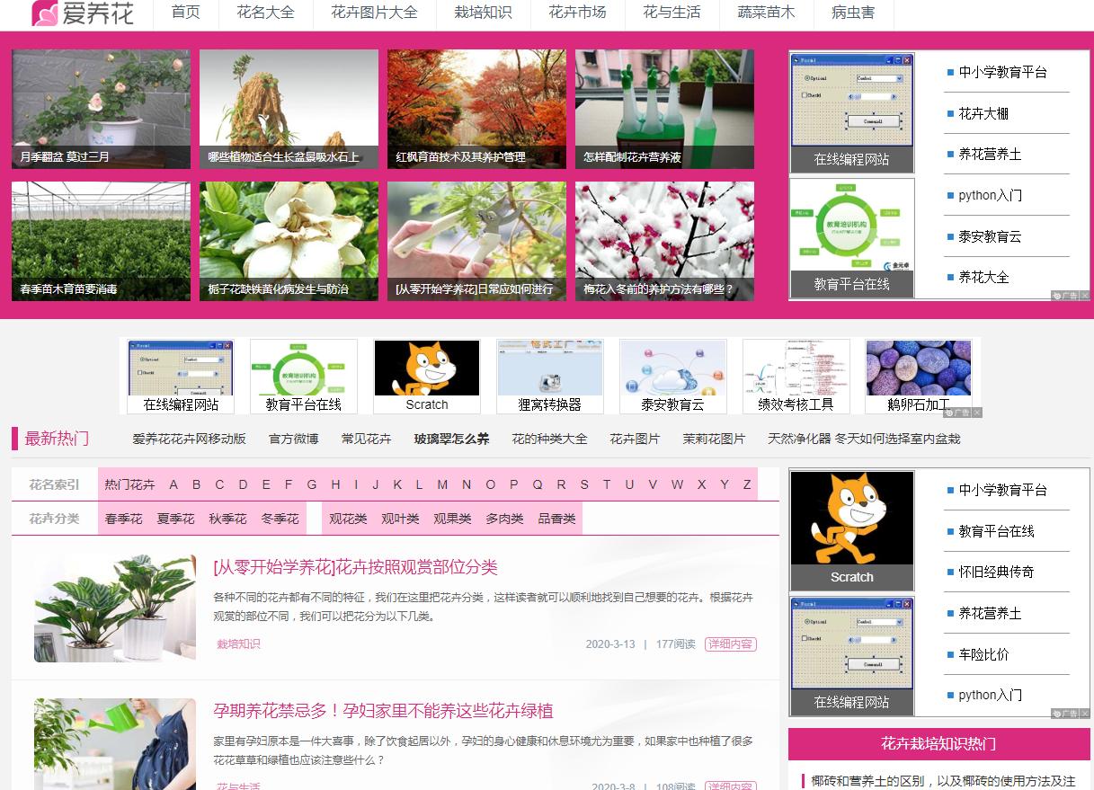 花儿为啥这样红,花儿为什么这样红科普小视频