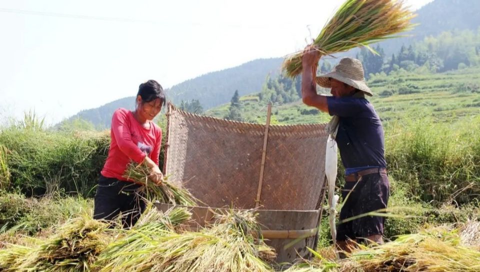穷不碰三艺富不亲三人指的是什么,穷不三人富不记三亲是什么意思