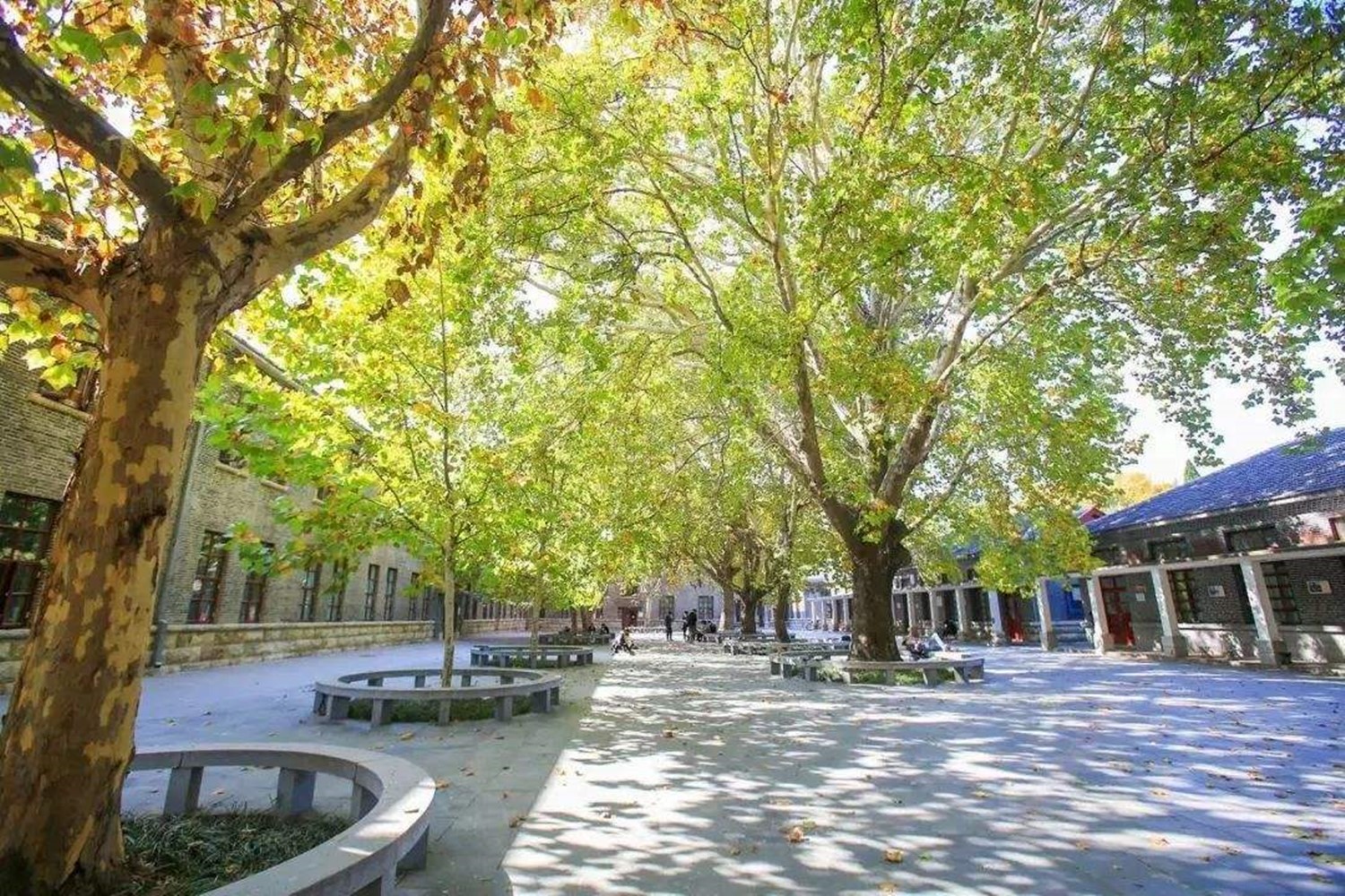 山东一所让人分不清是几本的大学,拥有2个校区,占地3061亩