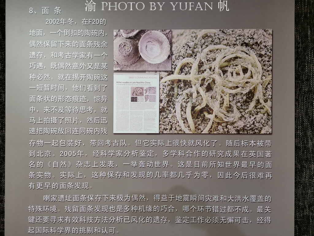 青海牛肉面和兰州牛肉面,兰州拉面和兰州牛肉面的恩怨