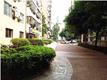 深圳最大社区桃源居,深圳最大的世外桃源