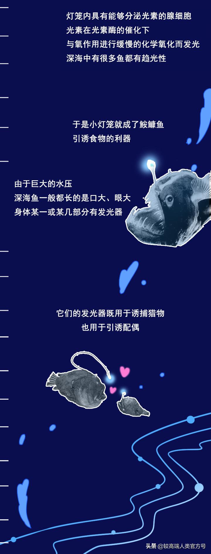 手机掉进水里十几秒有问题吗,手机掉入1000米