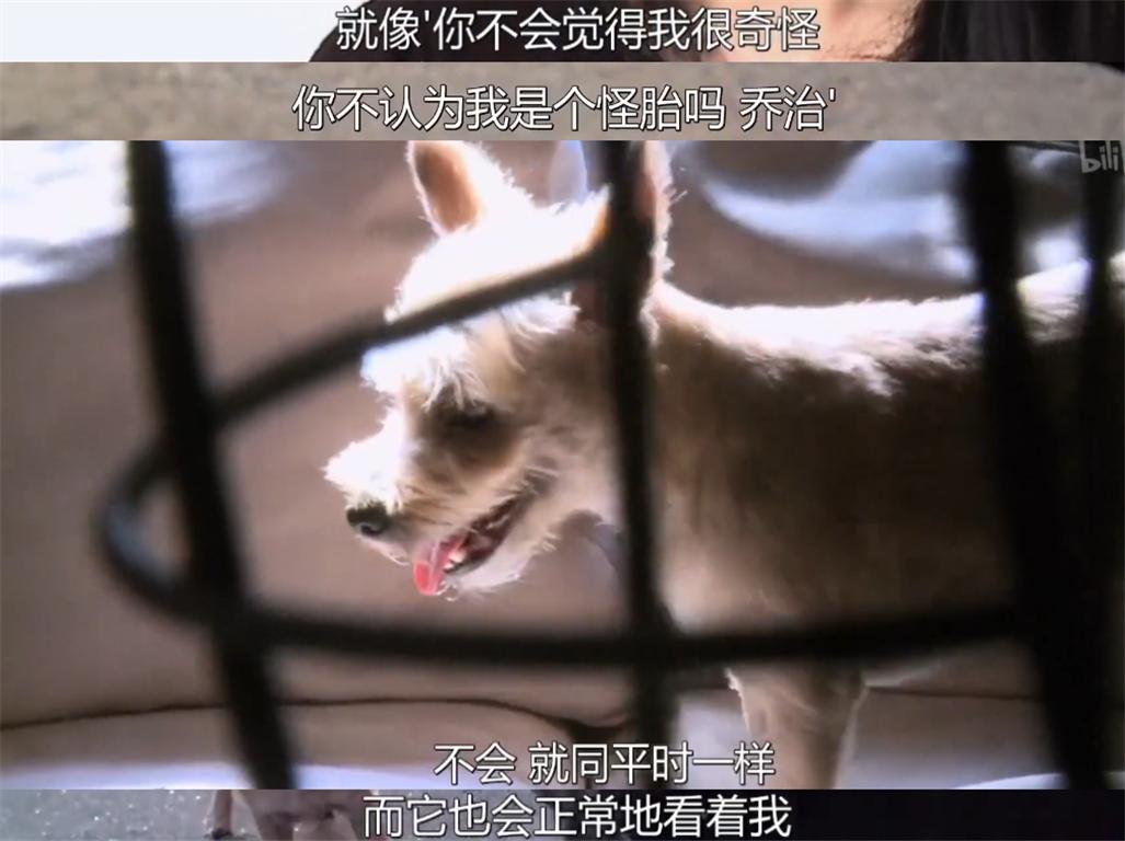 男人变性手术需要切除哪些部位,男人变性手术后遗症