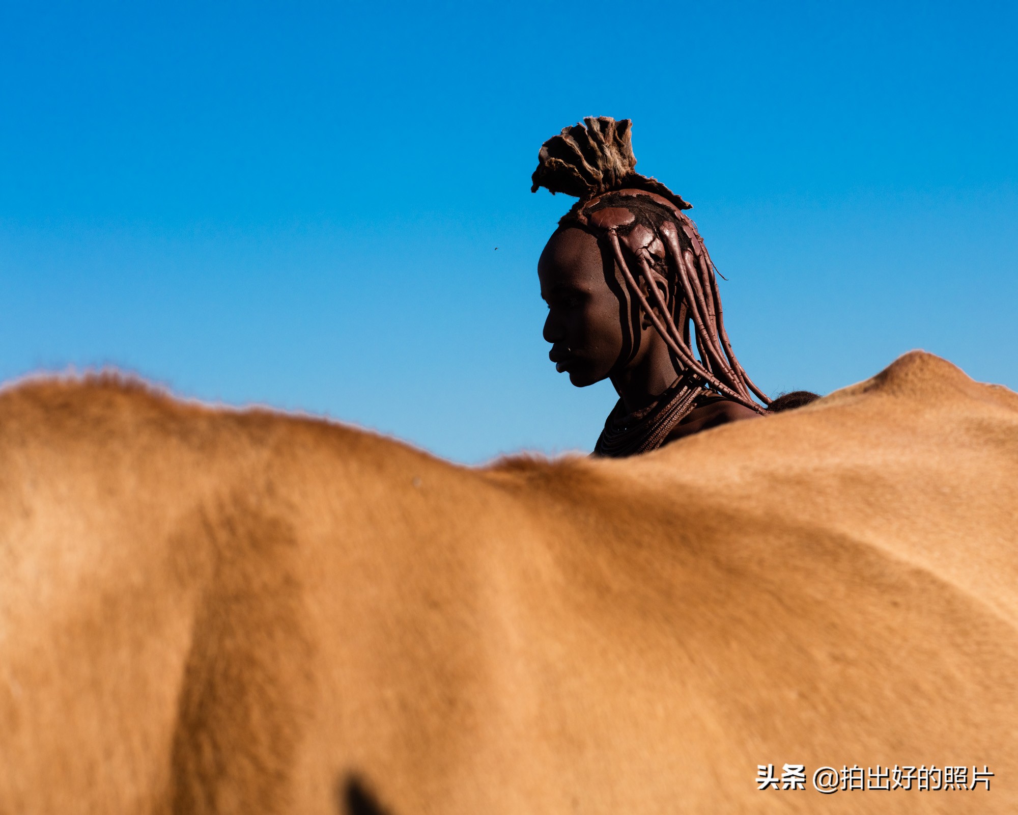 摄影中的三分法和九宫格构图,三分法构图摄影作品有哪些种类