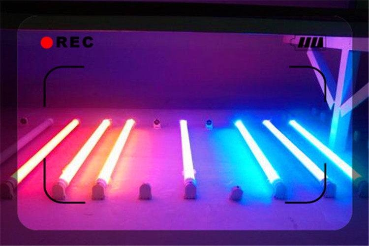 家庭加工创业项目,小县城家庭创业加工真实项目