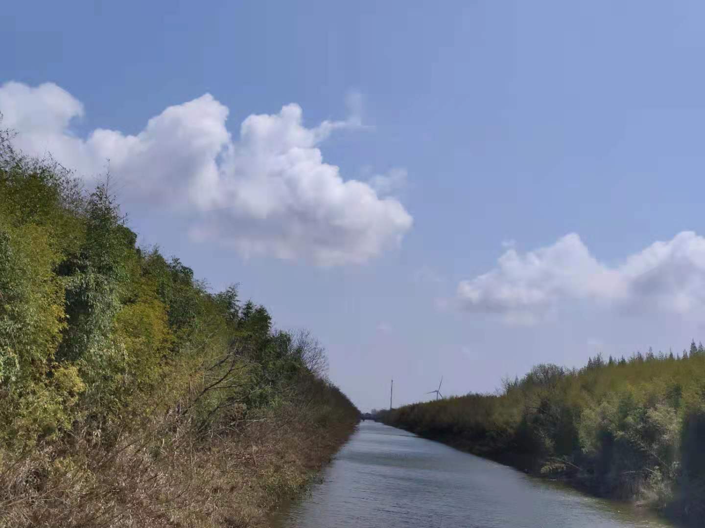 烟花三月矿泉水能喝吗,烟花三月喝最好的酒