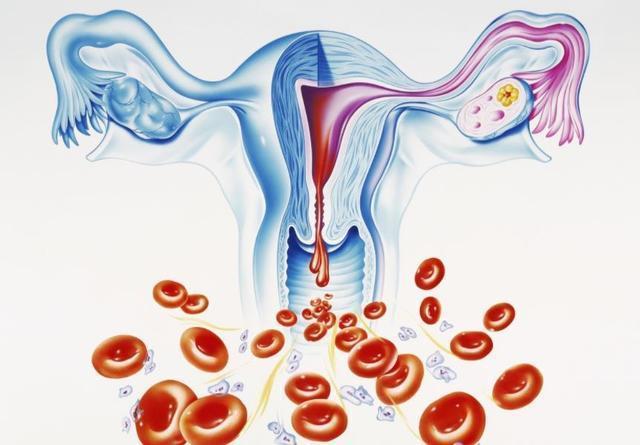 绝经又不伤身体的办法,绝经太早或太晚都不是好事