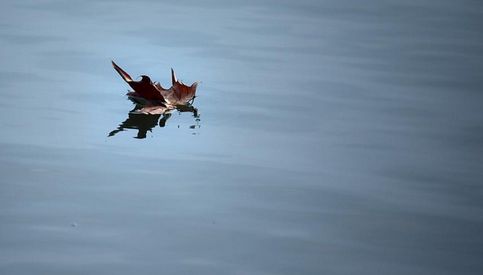 如果你很担心你会怎么做,如果你不怕疼你会怎么样