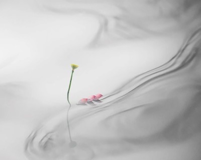 收藏100首名篇100个词牌由来,300常见词牌典故及对应千古名篇