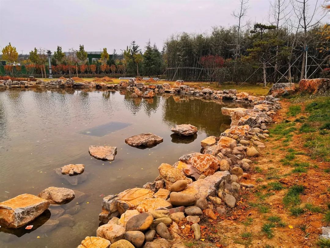 洛阳的居住环境,洛阳居住的真实感受