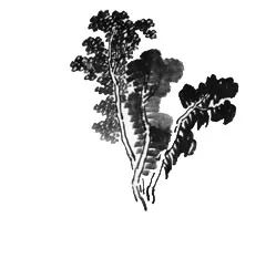 教程一幅山水画,一篇文章教你看懂艺术