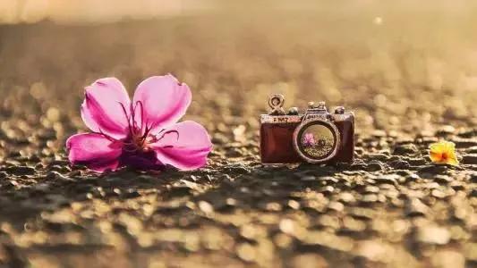 道德经朗诵天长地久第七章,道德经天长地久篇