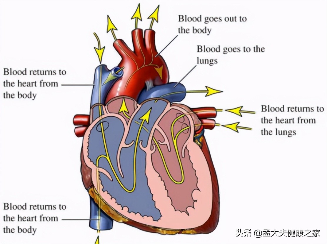 最适合老年人的沙坦类药,最适合老年人服用的降压药是