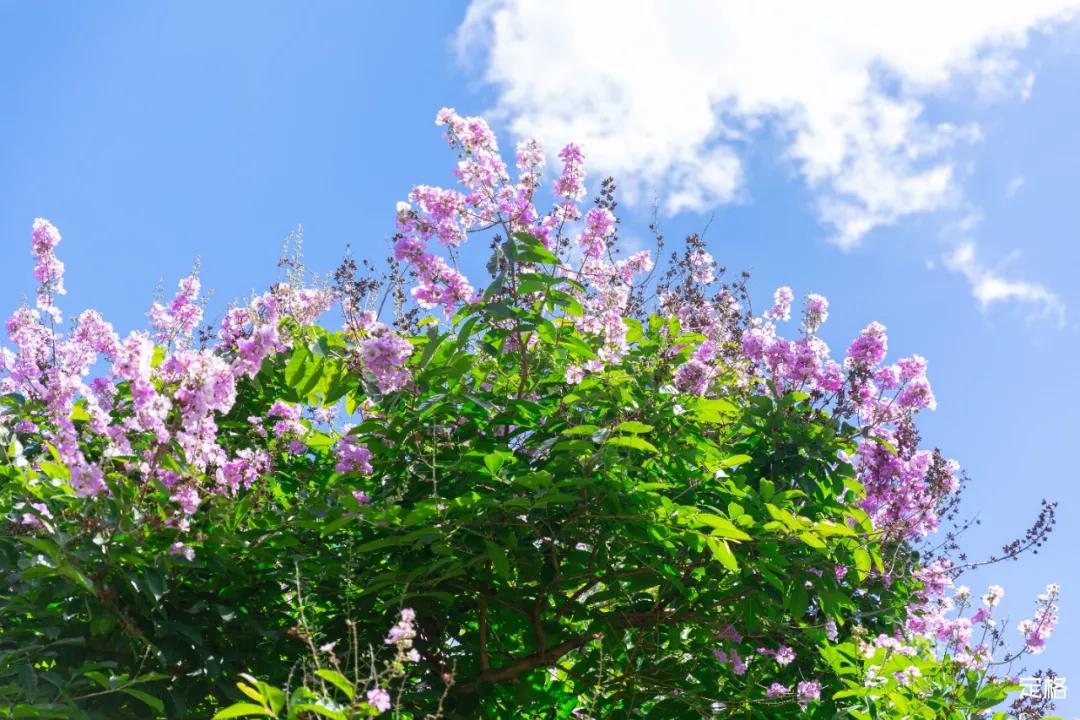深圳大鹏小众村庄,超小众拍照圣地深圳