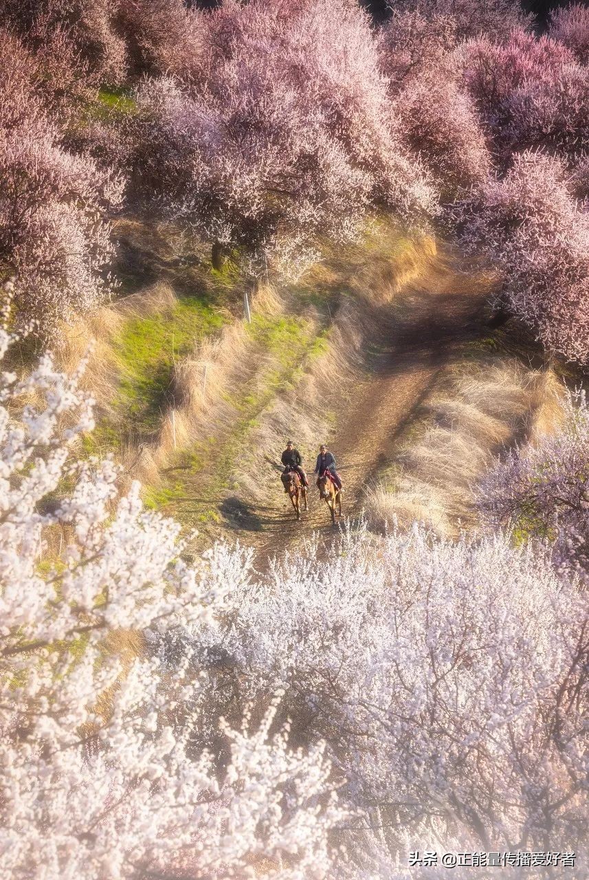 全世界50个最美景点,全球公认的最美的二十个地方