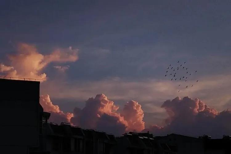 2019犯凶星的属相,2019年犯凶星的属相