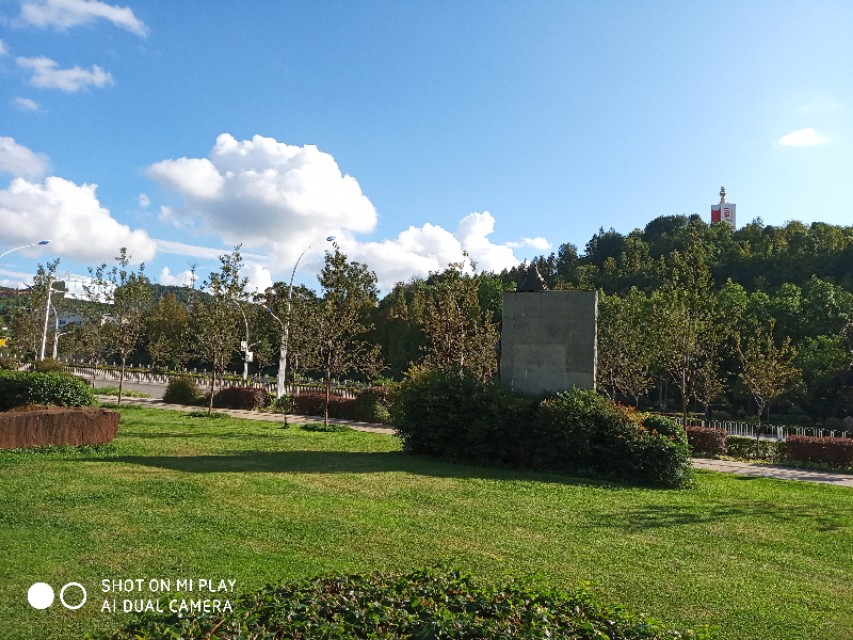 冯成毅的期货交易哲学,冯成毅做期货突然顿悟