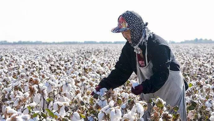 为什么农民种粮补贴不高,为什么农民不种地会得到补贴